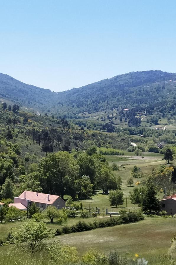 Turismo Rural Macieira Brava Guarda Extérieur photo