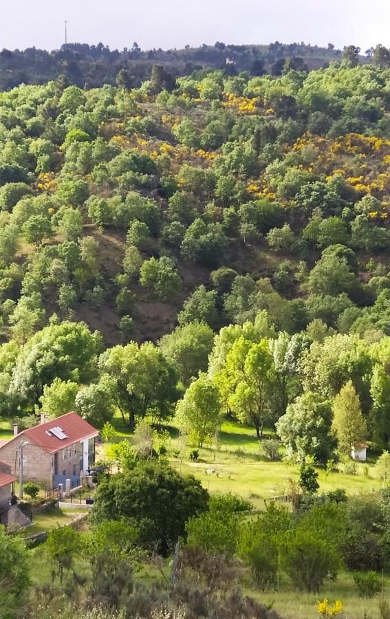 Turismo Rural Macieira Brava Guarda Extérieur photo