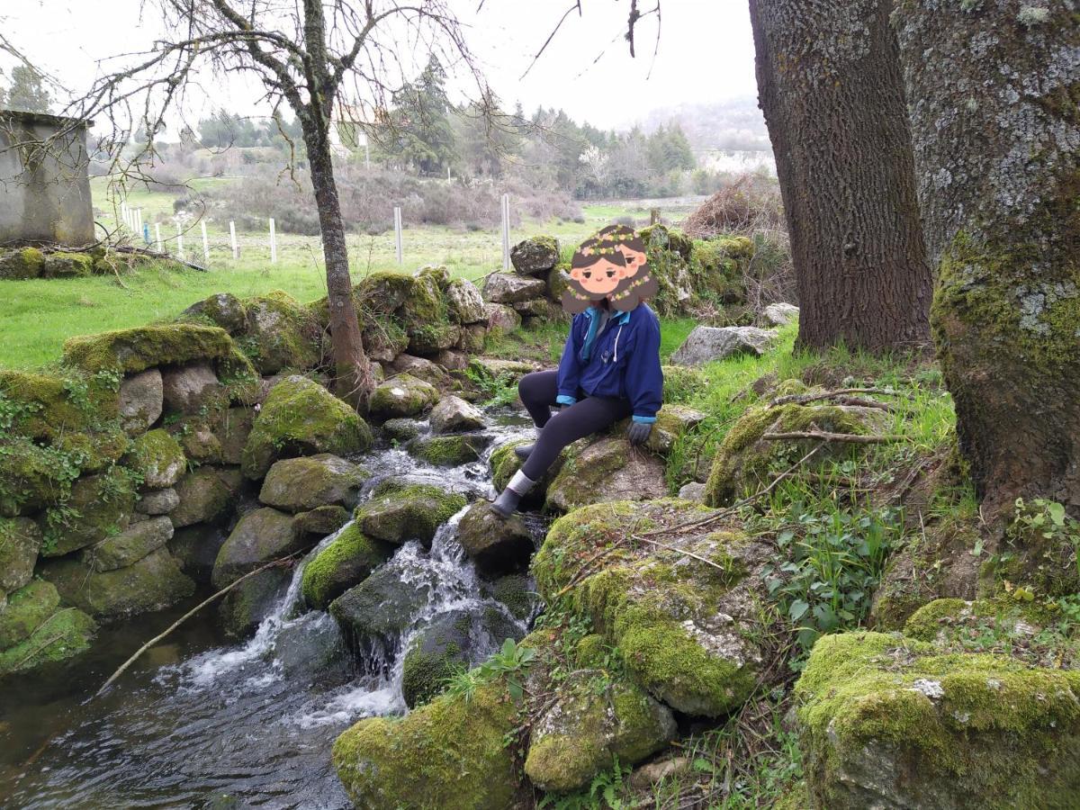Turismo Rural Macieira Brava Guarda Extérieur photo