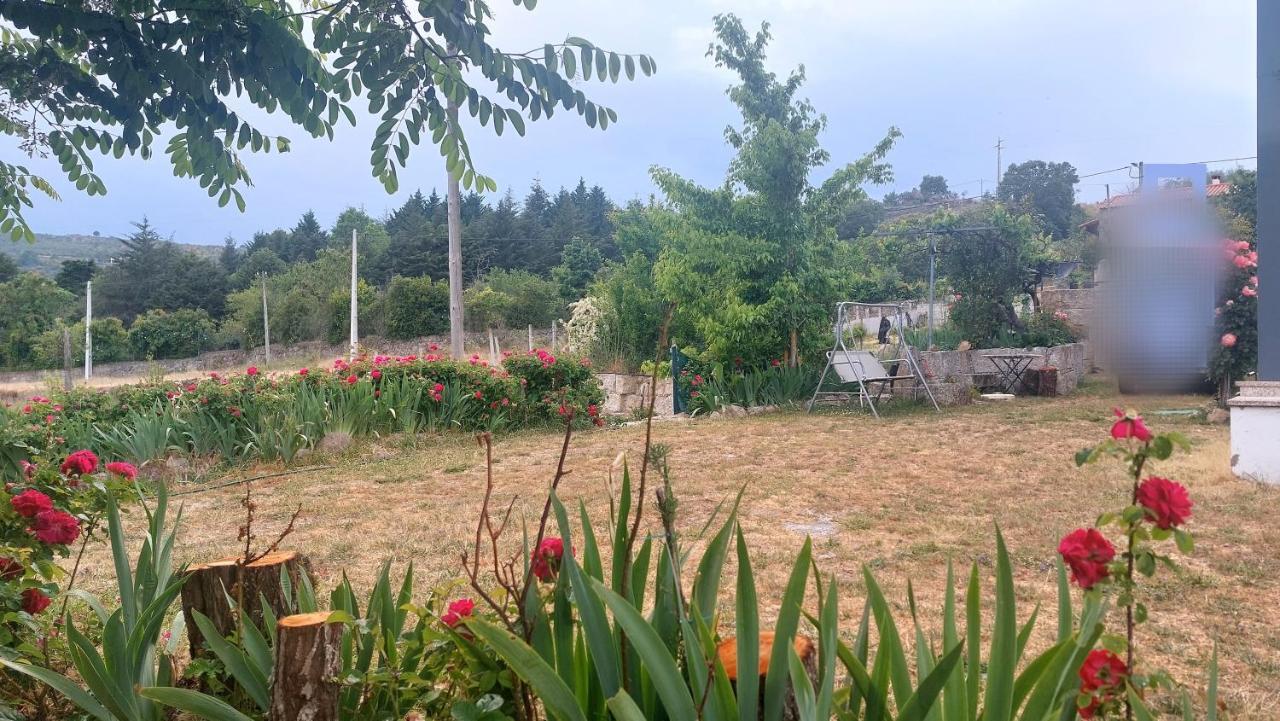 Turismo Rural Macieira Brava Guarda Extérieur photo