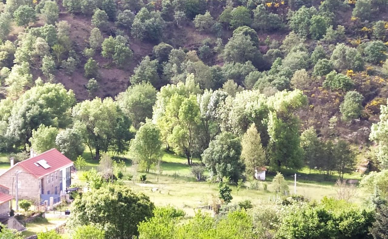 Turismo Rural Macieira Brava Guarda Extérieur photo